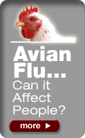 Avian Flu...Can it
affect people?