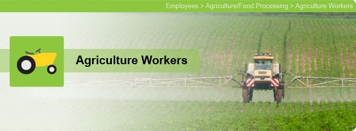 Healthy Workplaces - Employees - Agricultural Workers