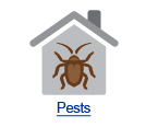 Hyperlink to Healthy Homes - Pests