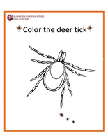 Image: Color the deer tick
