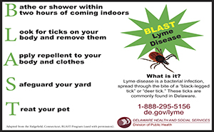 Image: BLAST Lyme disease poster