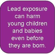 Lead exposure can harm young children and babies even before they are born.
