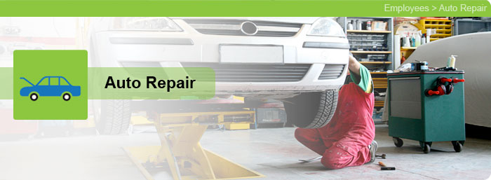 Healthy Workplaces - Employees - Auto Repair