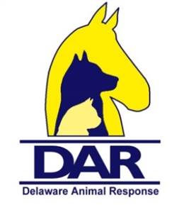 DAR Logo
