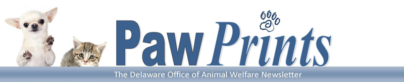 OAW Paw Prints Newslettersheader