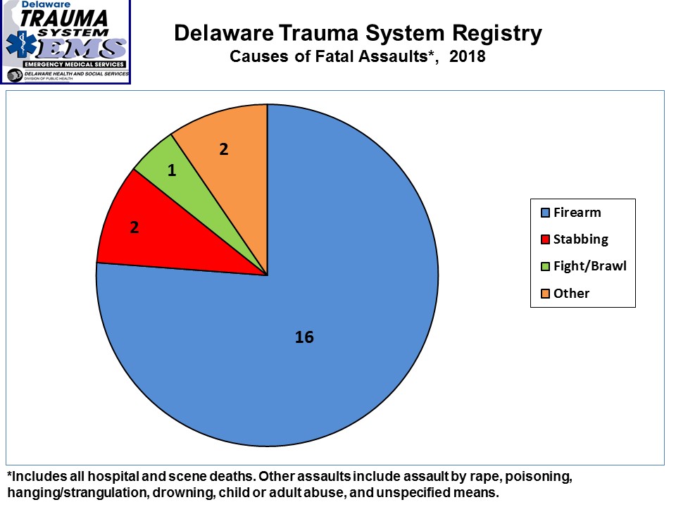 This pie chart shows a breakdown of the causes of fatal assaults in Delaware in 2016.  
  The most common mechanism used in fatal assaults in Delaware in 2016 was firearms.