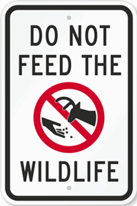 Do not feed the wildlife.