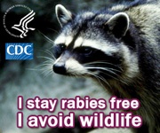 I stay rabies free...I avoid wildlife
