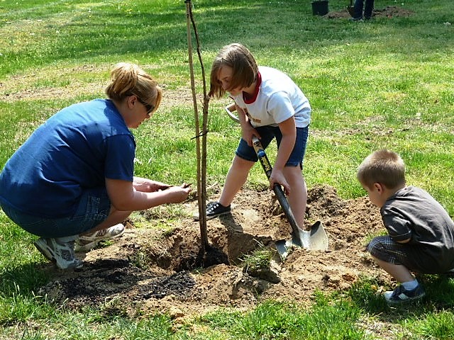 Belmont Volunteers