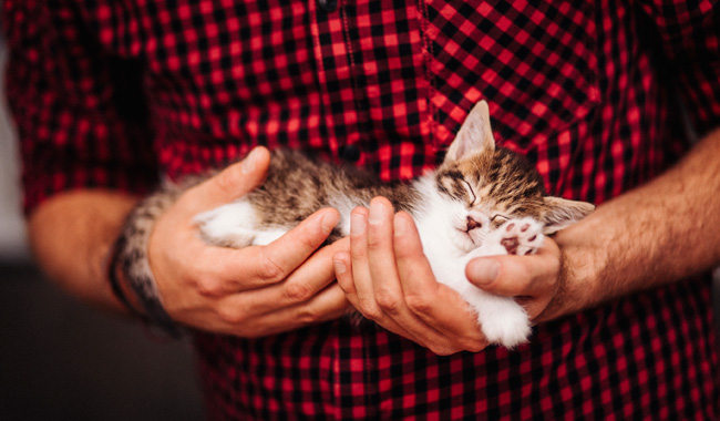 Animal Welfare