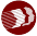 DHSS Logo
