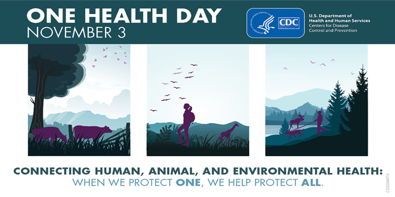 One Health Day