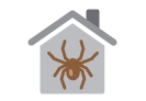 Hyperlink to Healthy Homes - Pesticides