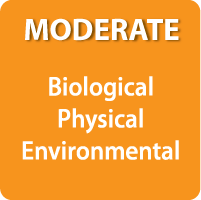 Healthy Workplaces - Employees - Poultry and Food Processing