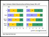 Image: Linked to the pdf version of the Maternal CharacteristicsStatSheet