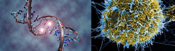 Virology Main Page