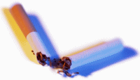 Photo of broken cigarette.