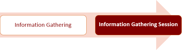 Phase 1 B - Information Gathering Session
